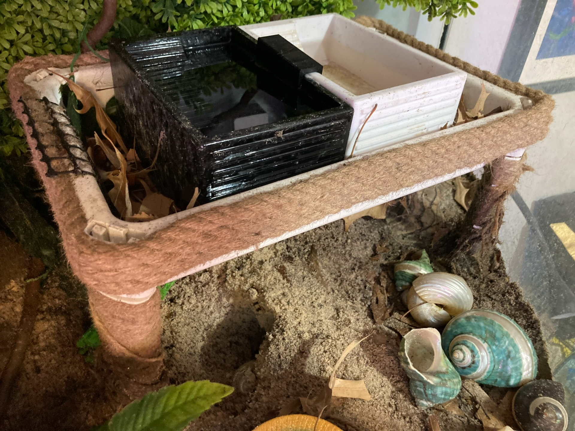 Simple Hermit Crab Pool