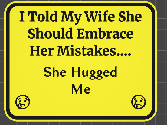 funny sign embrace her mistakes