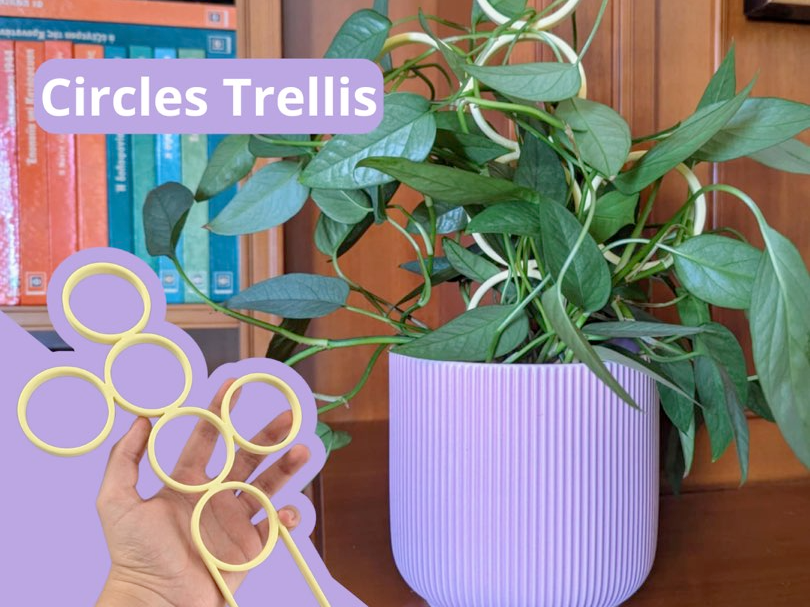 Circle Trellis Modern Decorative Support for Plant