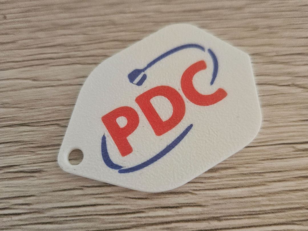 PDC Darts Keychain - Small Flight design