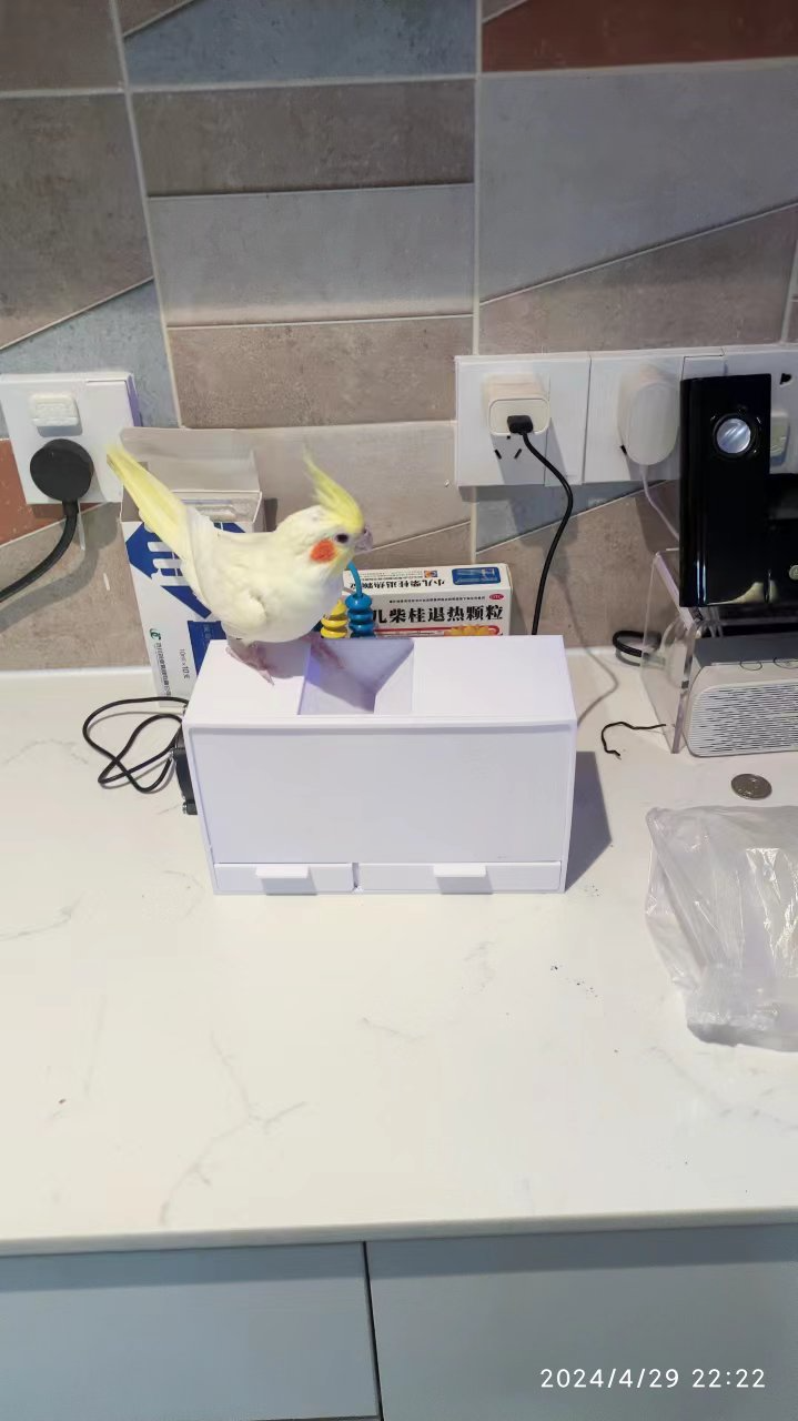 Grain wind sorting for parrot （鹦鹉谷物吹壳器）