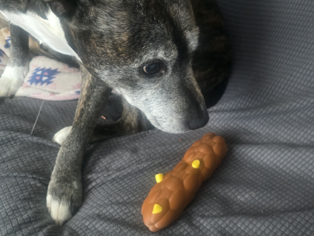 fake poo with sweetcorn