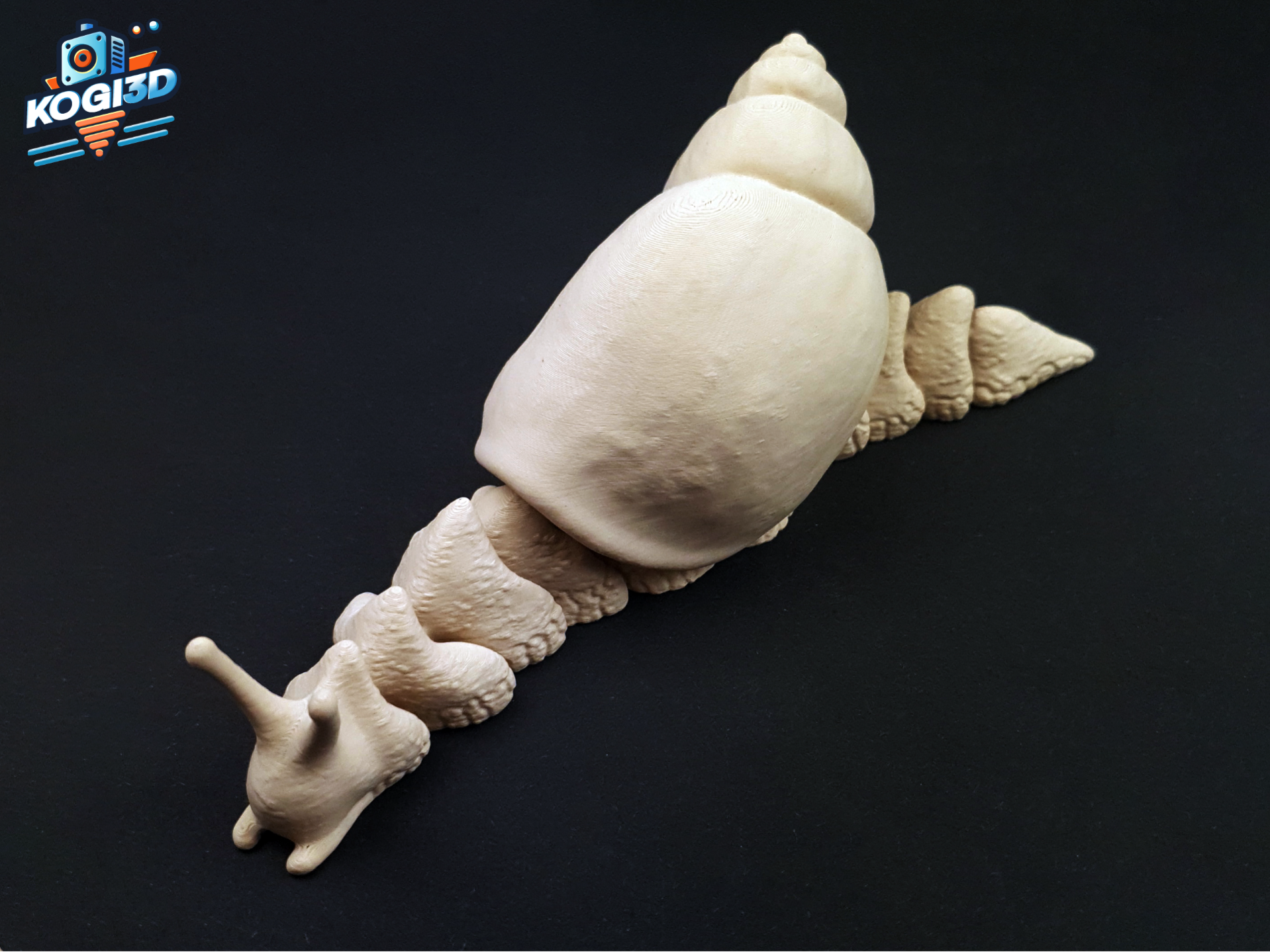 Giant Articulated African Snail