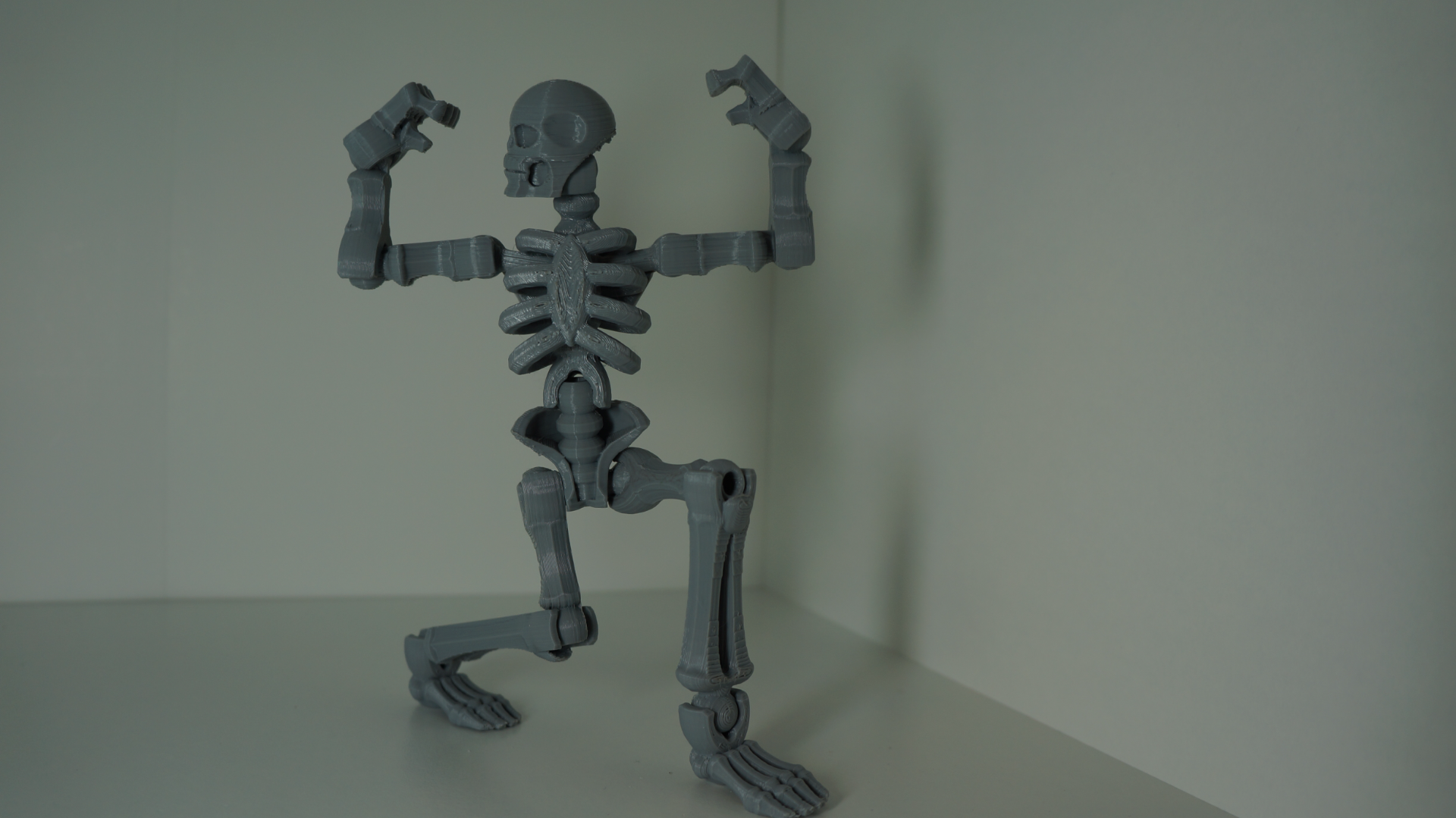 Toy Skeleton