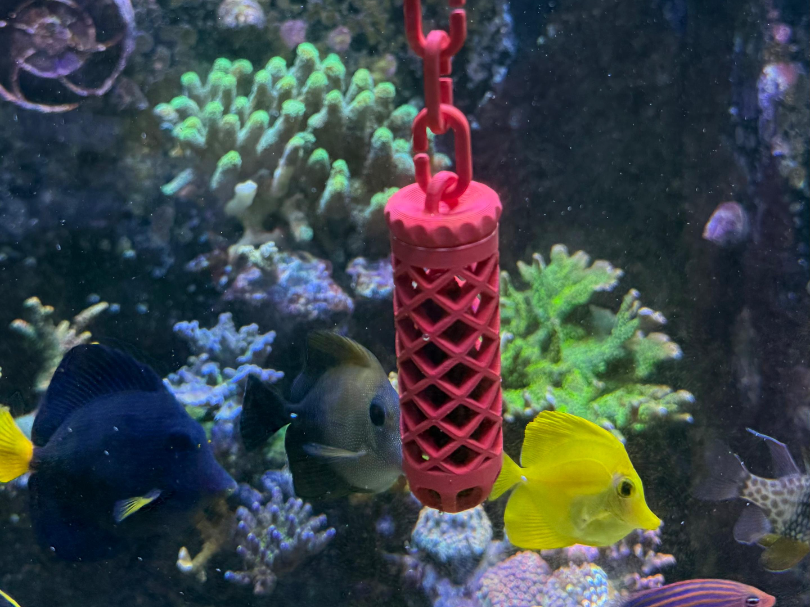 Nori Tampon