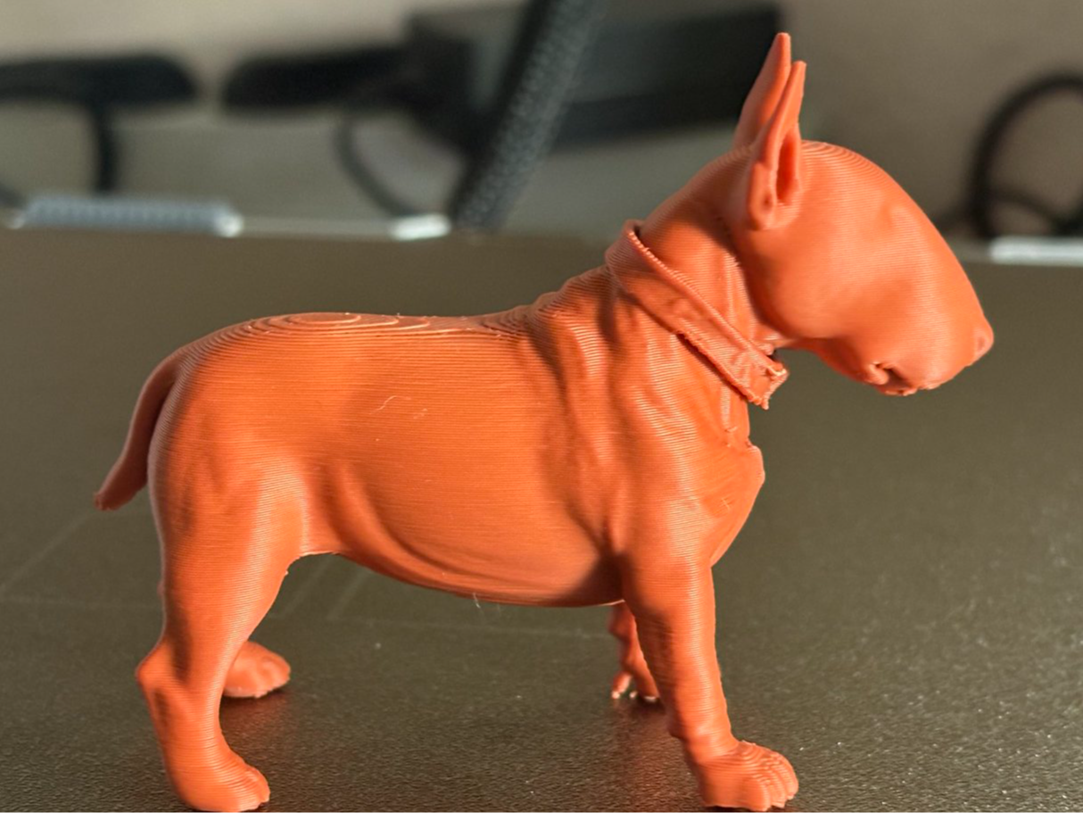 Miniatur Bullterrier