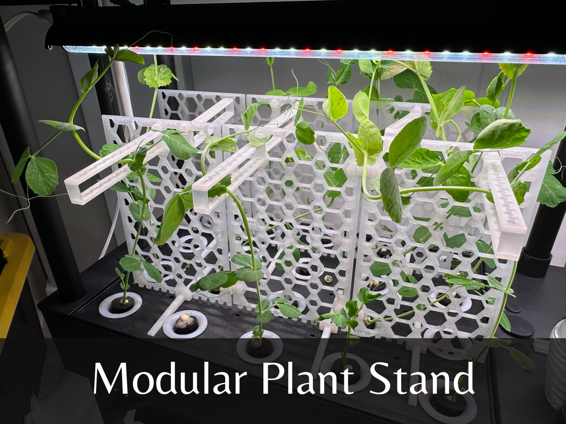 Modular Plant Stand