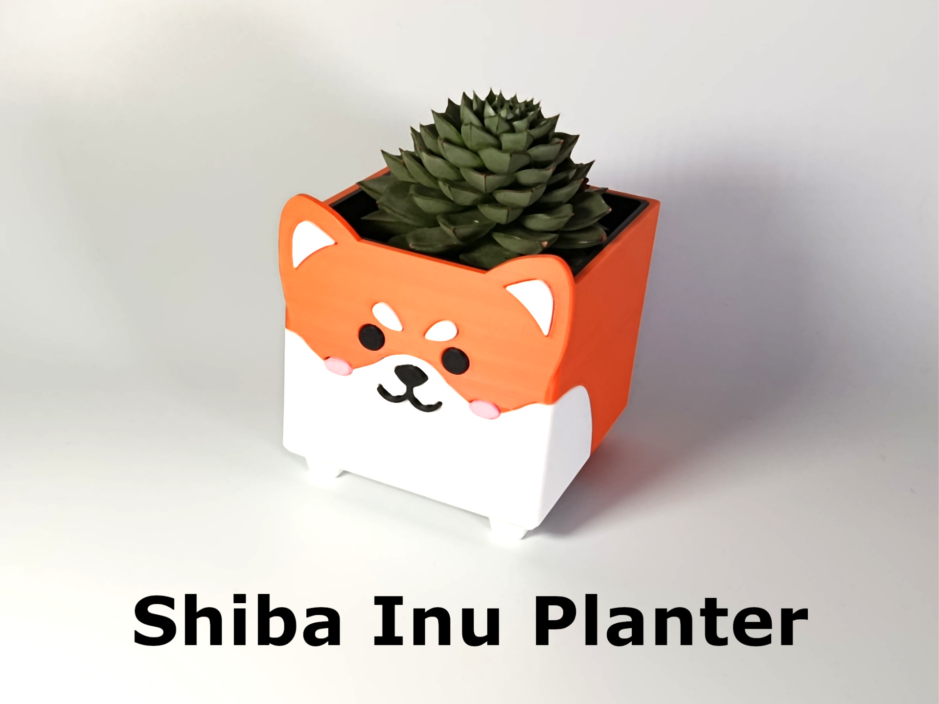 Shiba Inu Planter | No AMS needed