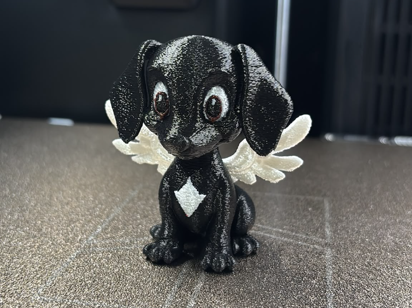 Cachorro Anjo
