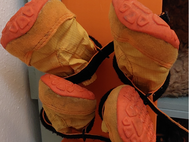 Vertical Dog Shoe Drying Rack