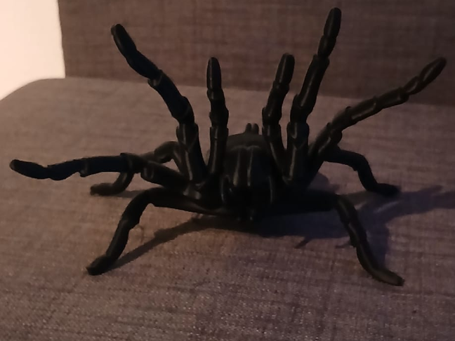 Tarantula Threat Pose