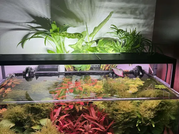 Aquarium Hydroponic pot system