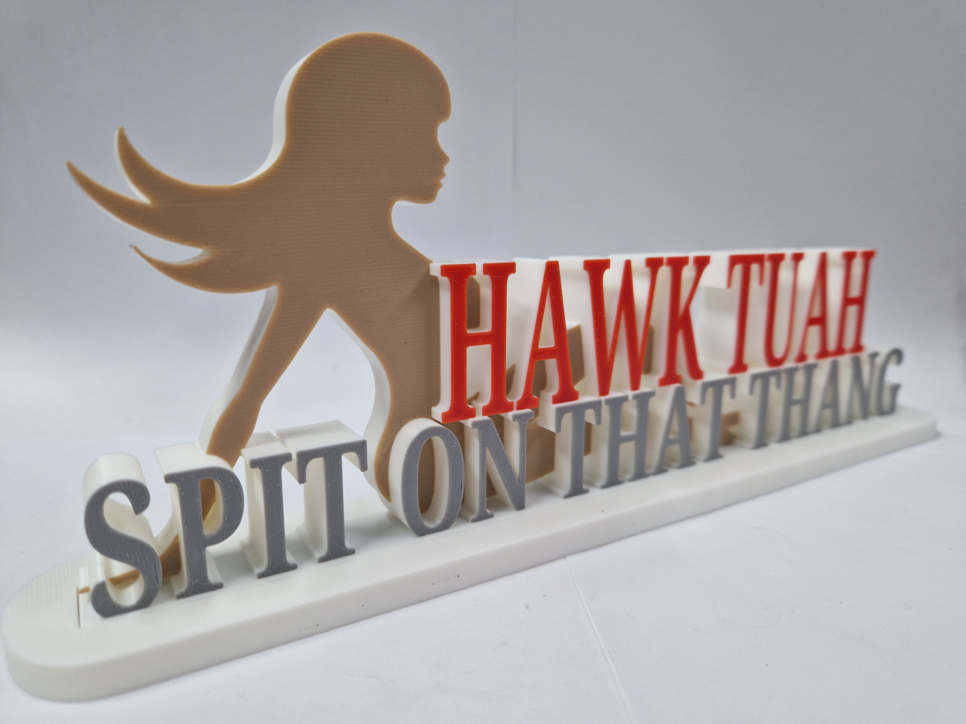 Hawk Tuah! Spit on that Thang Desk Sign