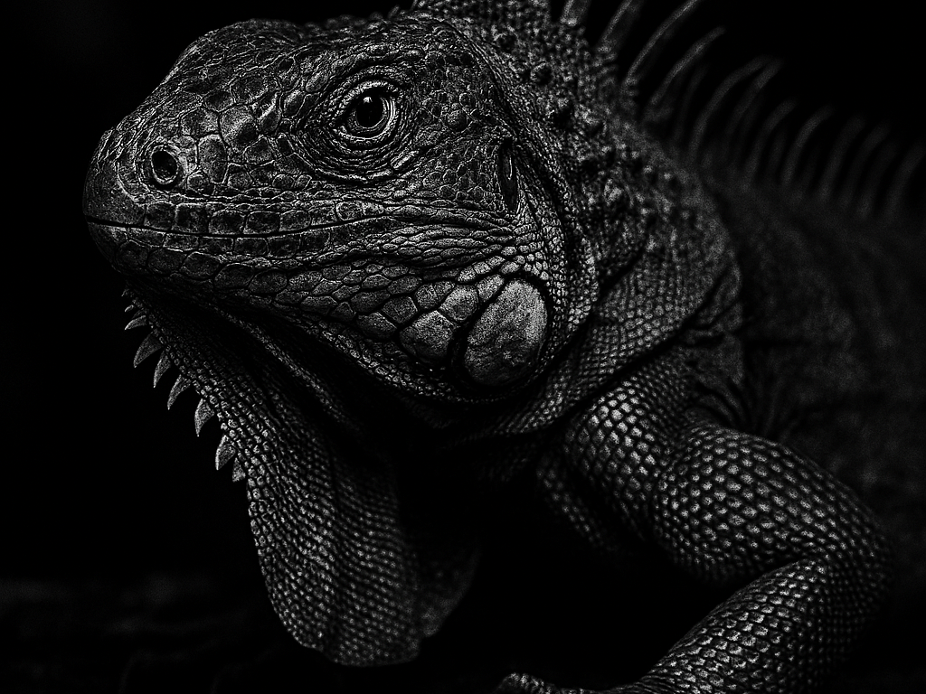 Hueforge Iguana