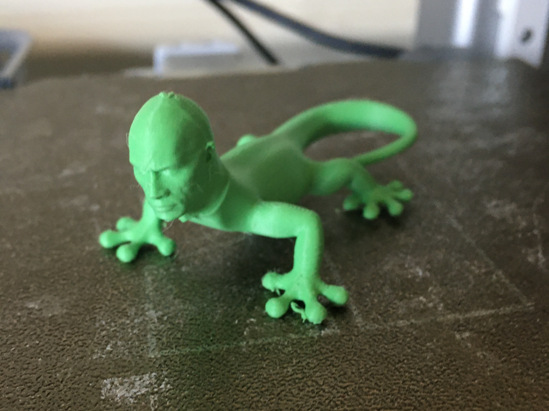 Dwayne the Lizard Johnson