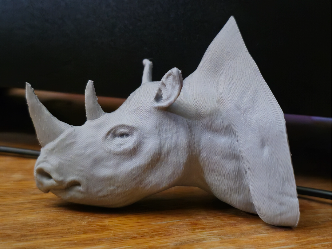 Rhino Bust