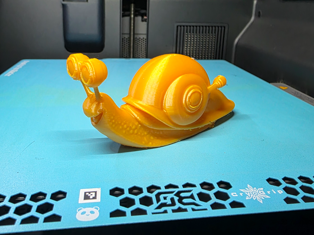Scout Snail