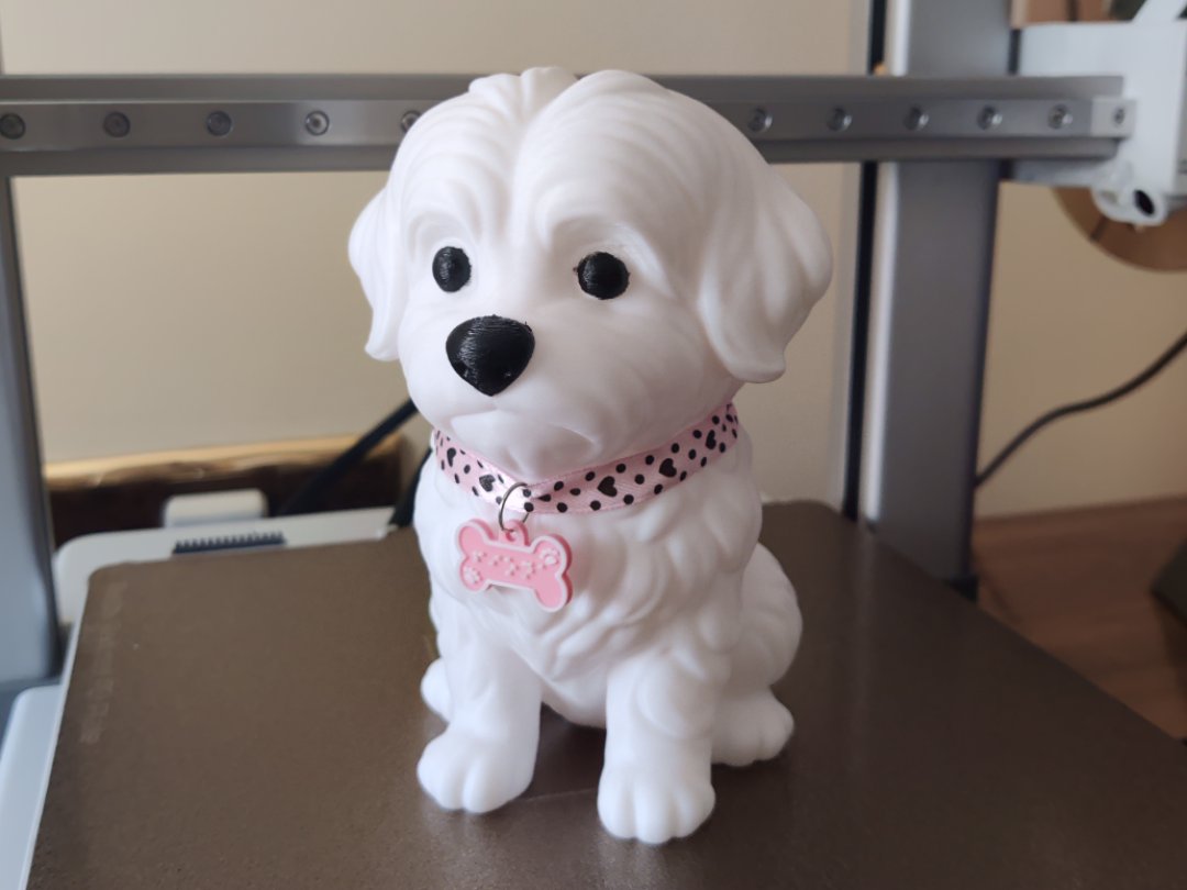 Bichón Maltes Sculpt