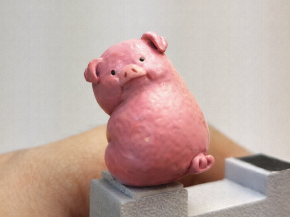 Waddles Gravity Falls