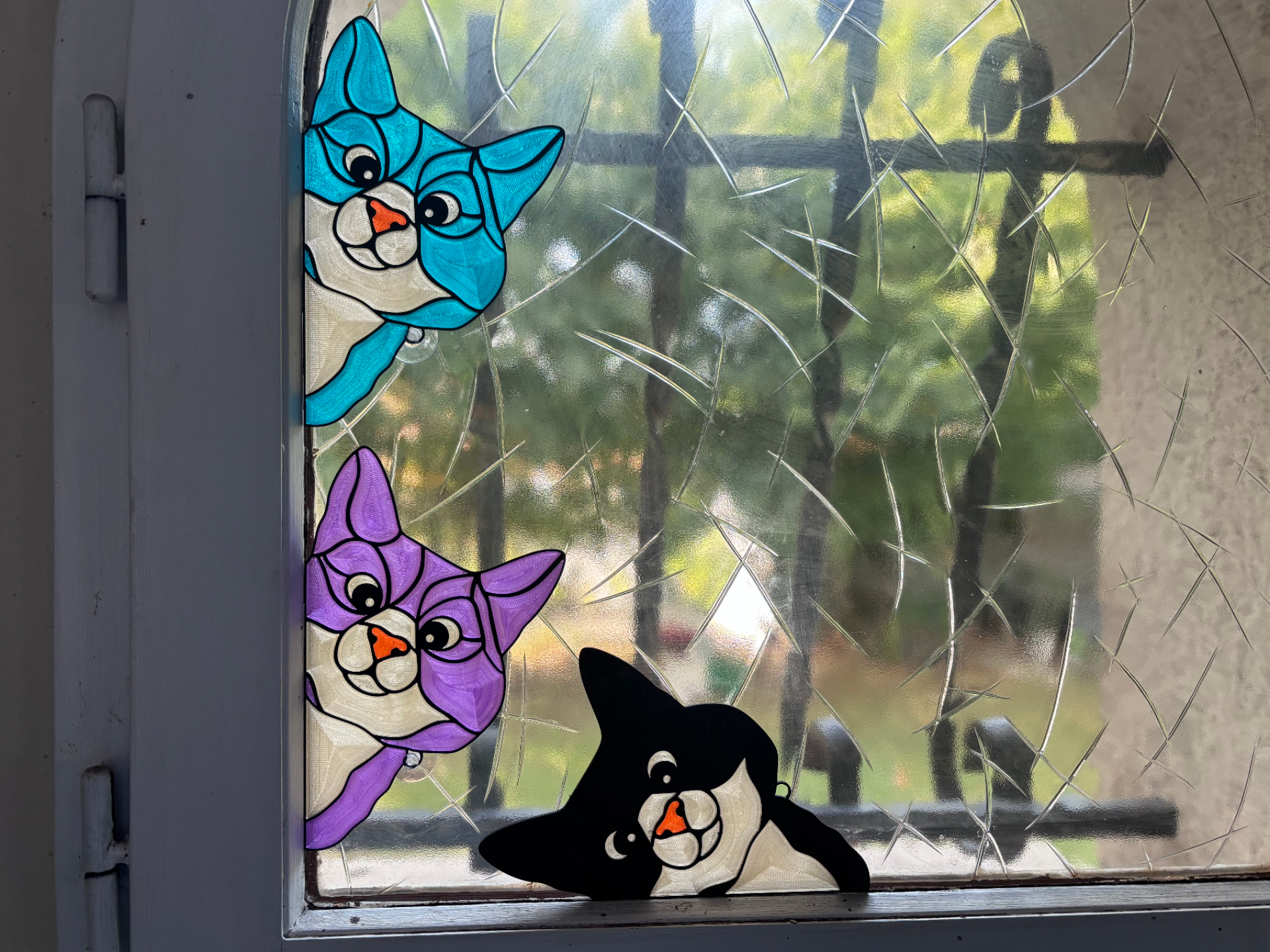 cat translucent