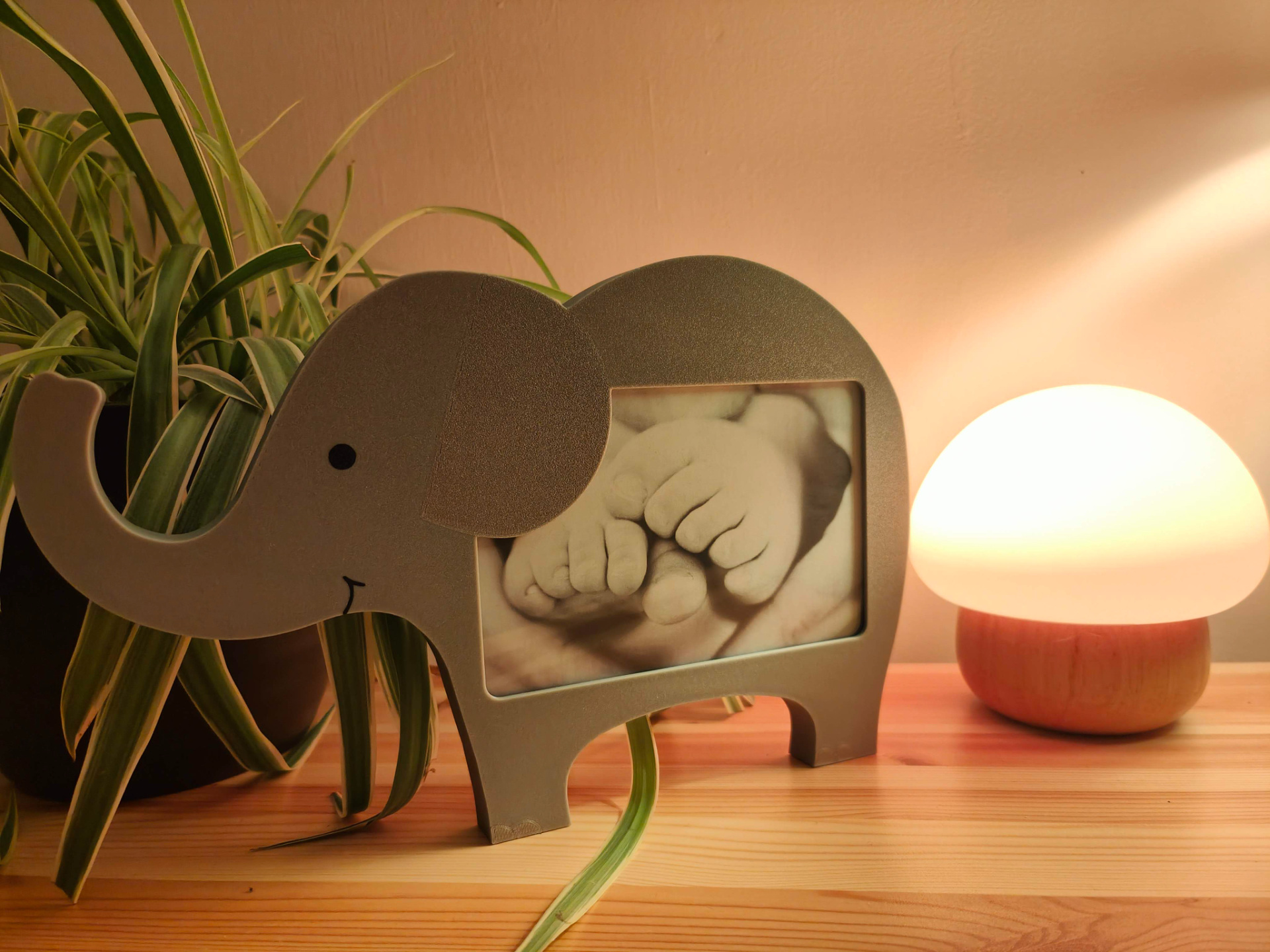 Elephant Photo Frame