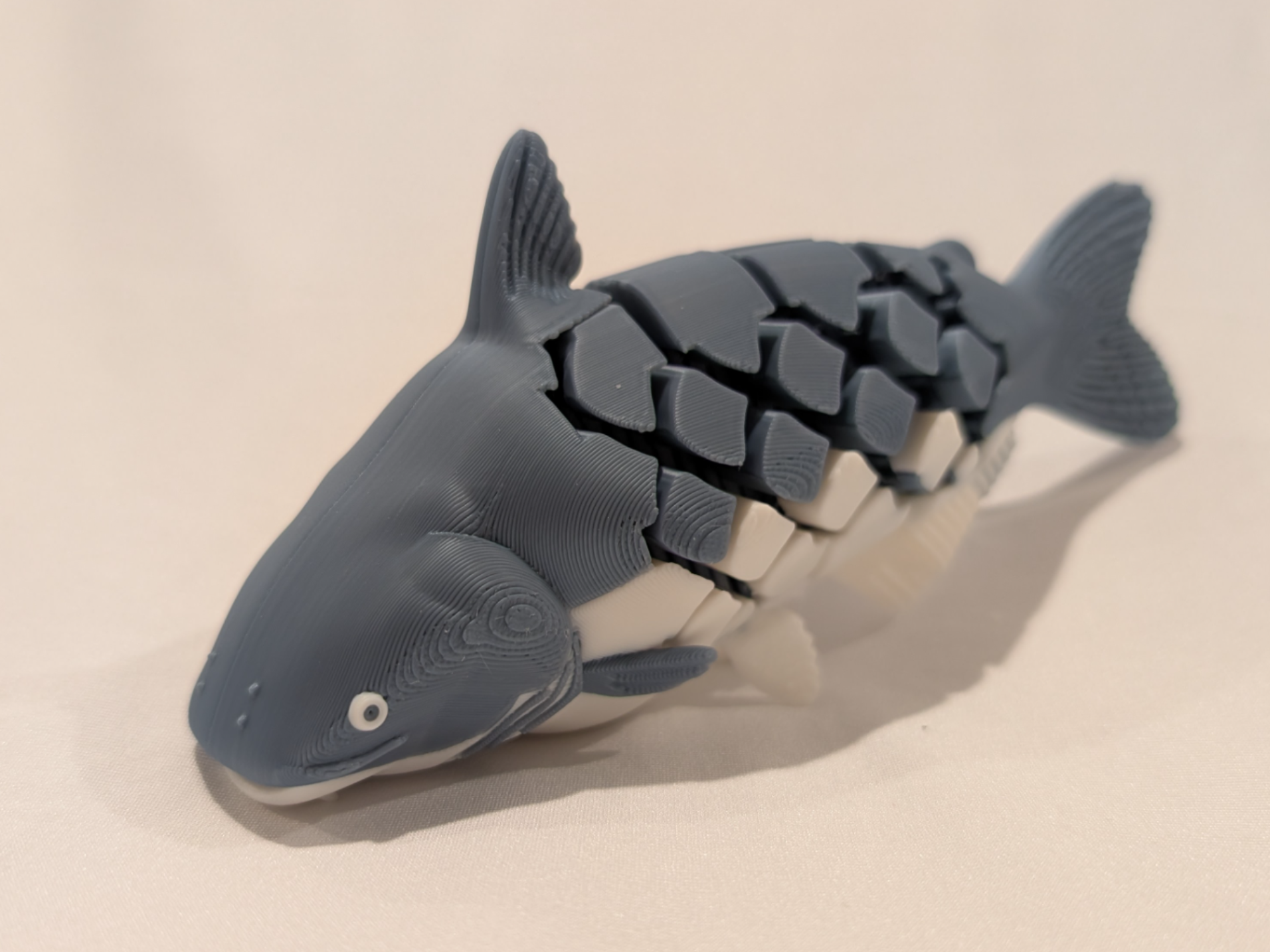 Articulated Blue Catfish