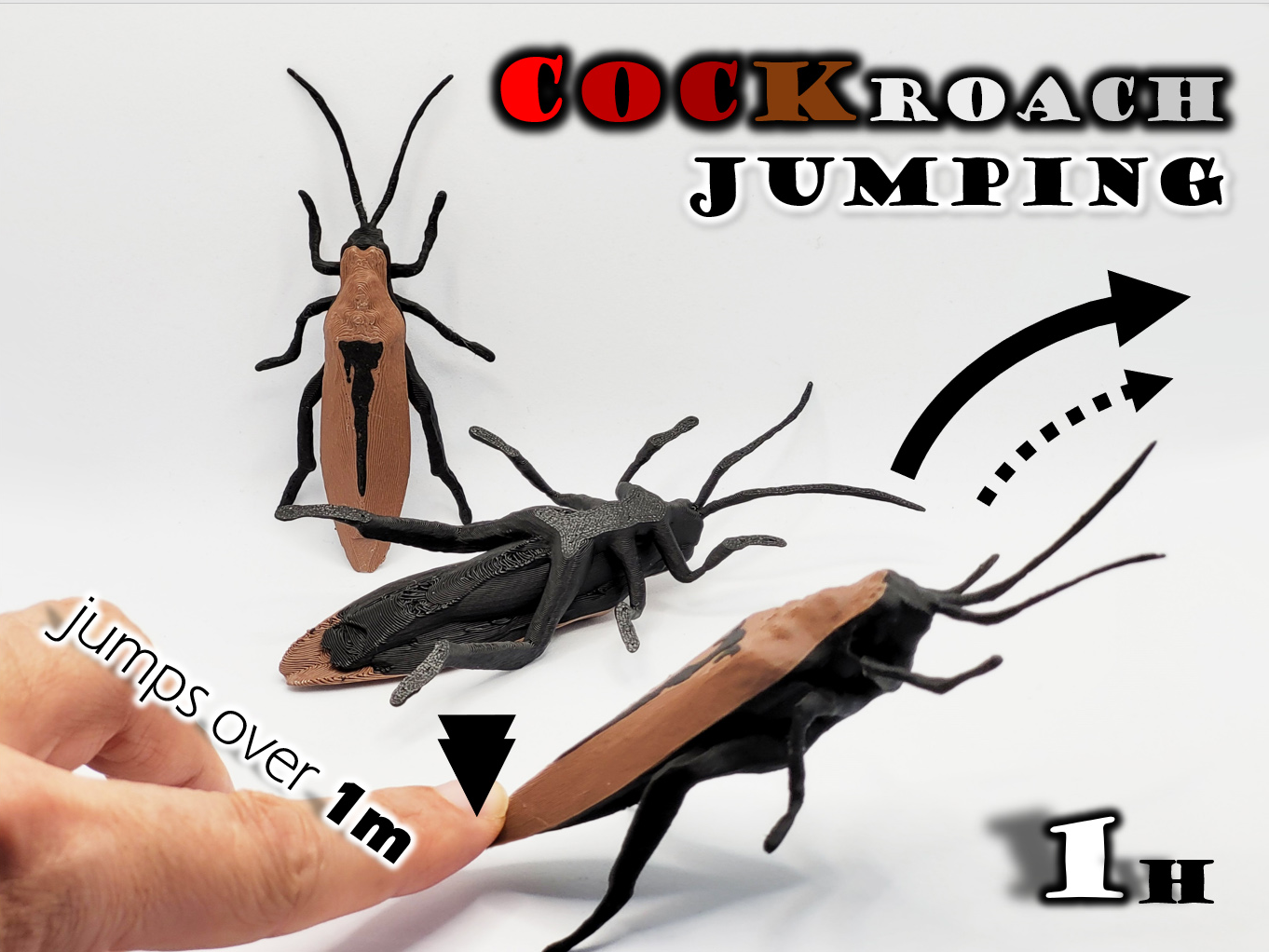 Jumping Cockroach