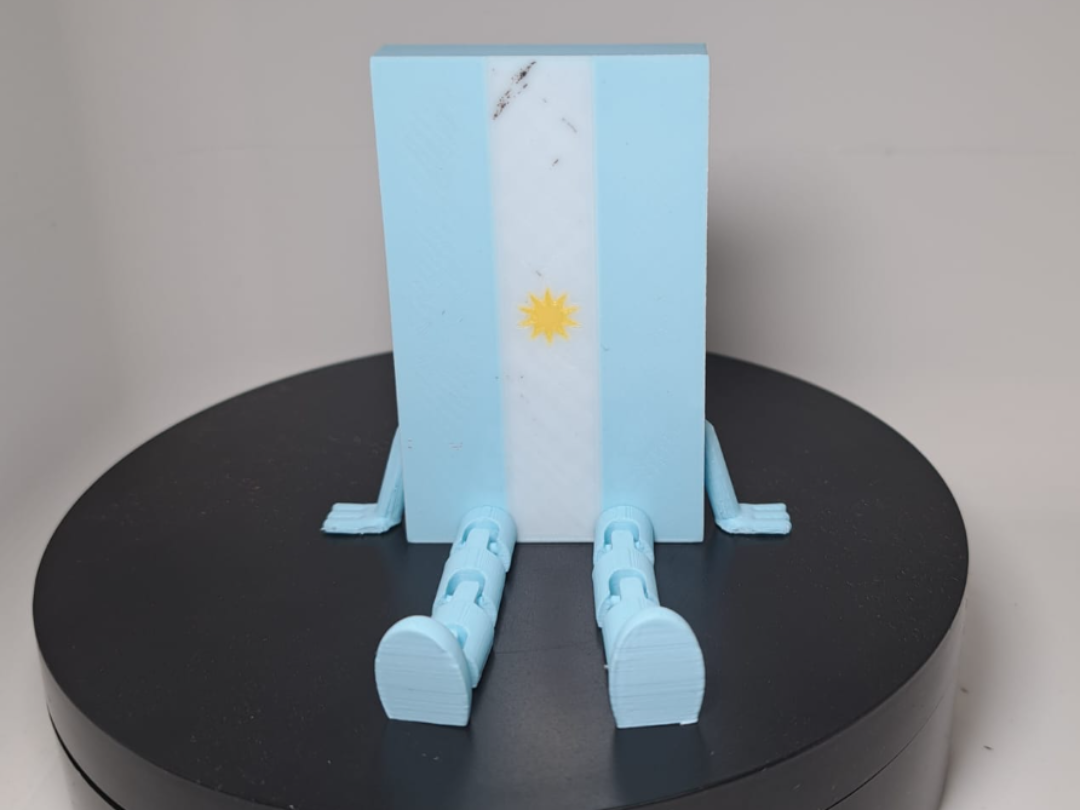 Flag of Argentina with flexi legs