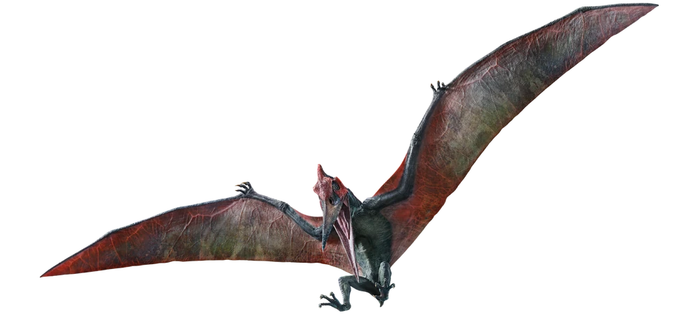 Pteranodon - JP3 - Second Iteration ( Hueforge )