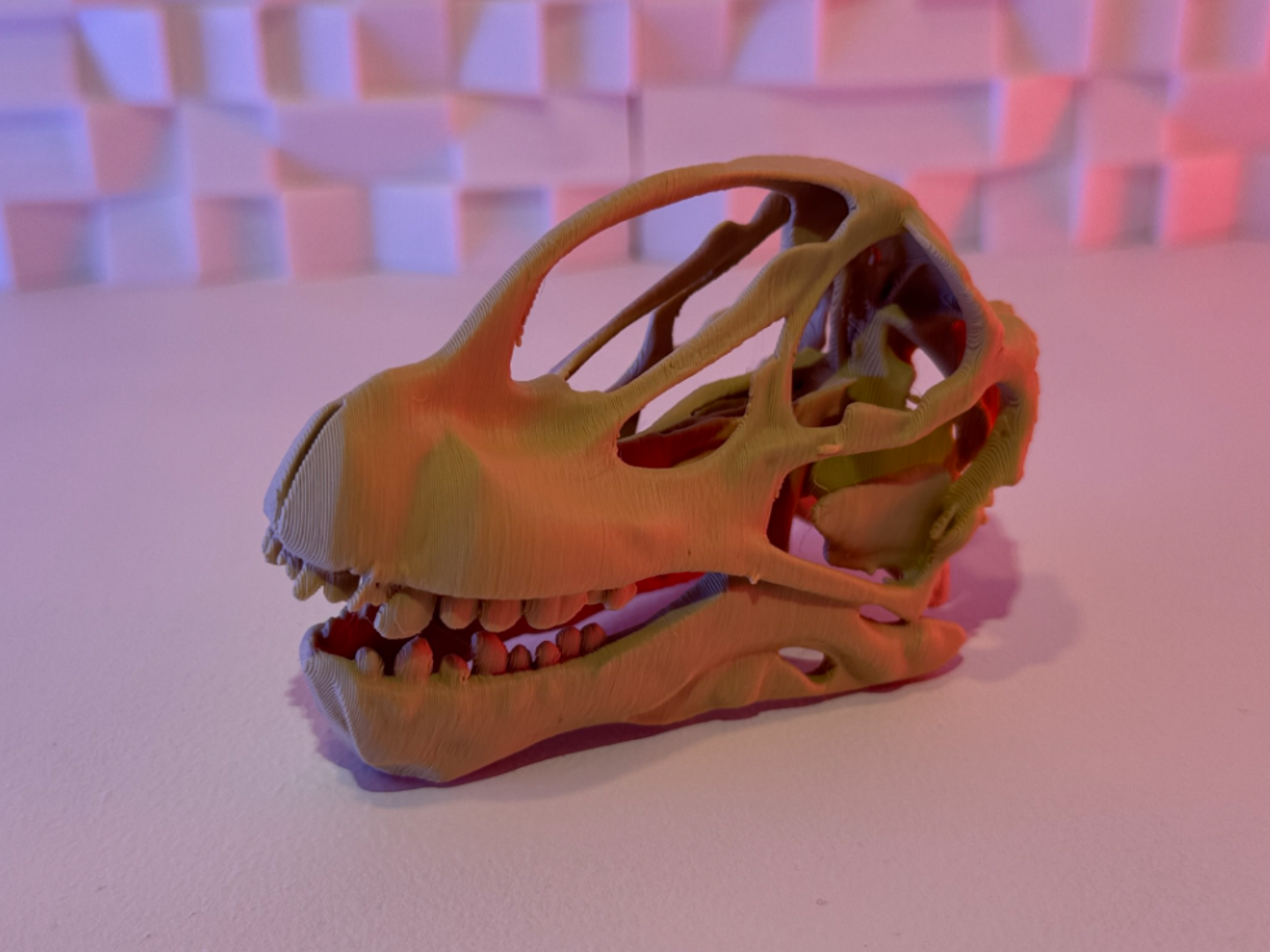 Brontosaurus Skull (10-25 Grams)