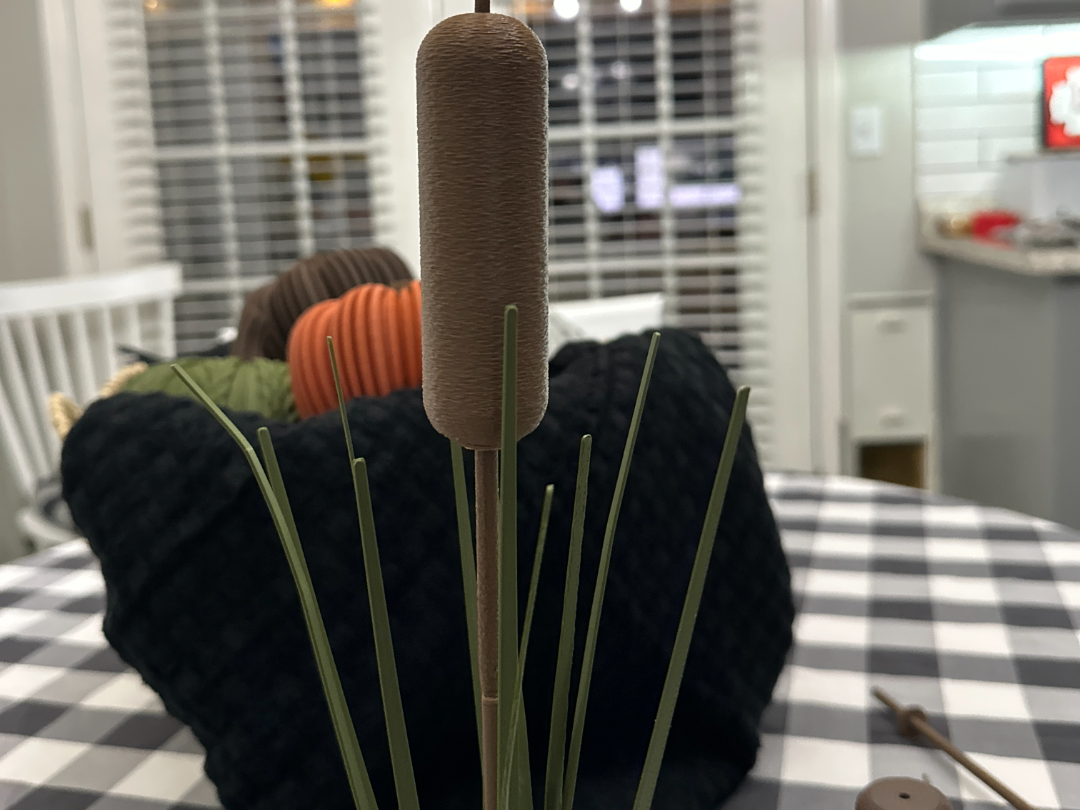 Cattails for Crafts