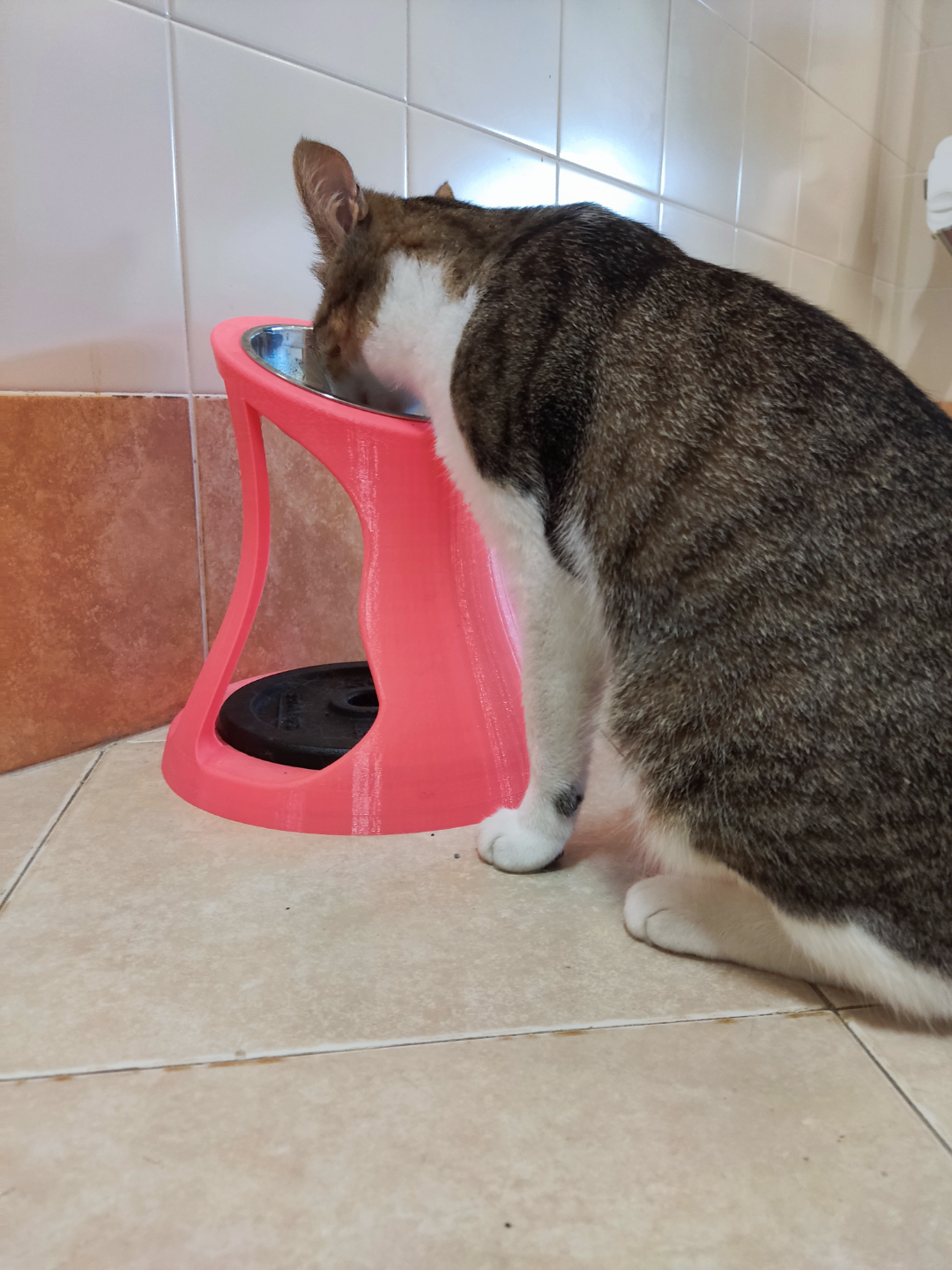 Raised Cat Feeder