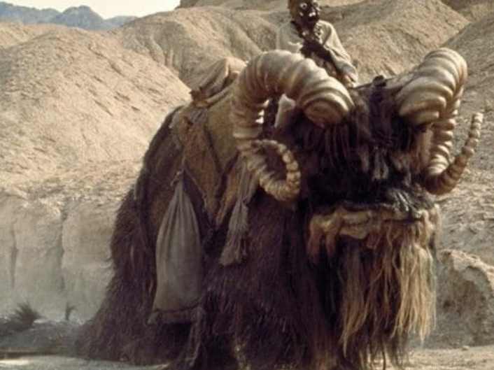 Bantha Star Wars