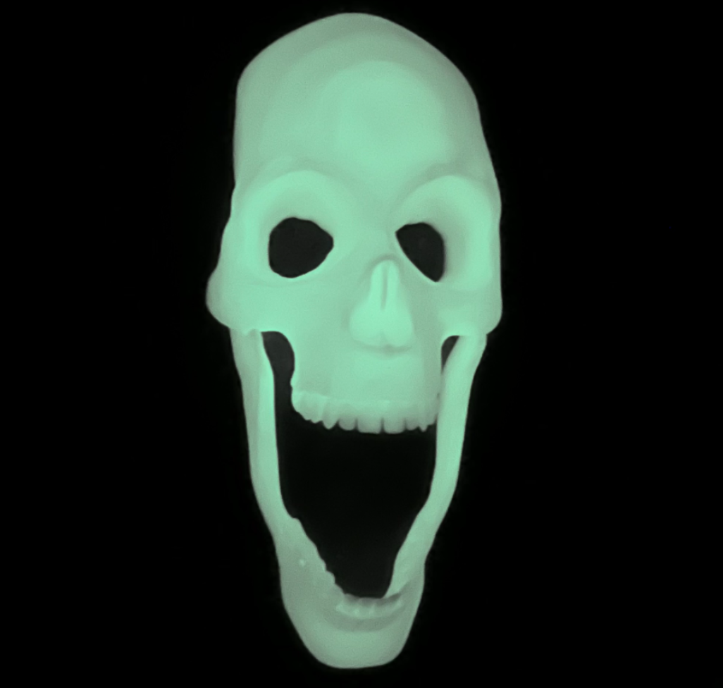 Skeleton Wall Decor
