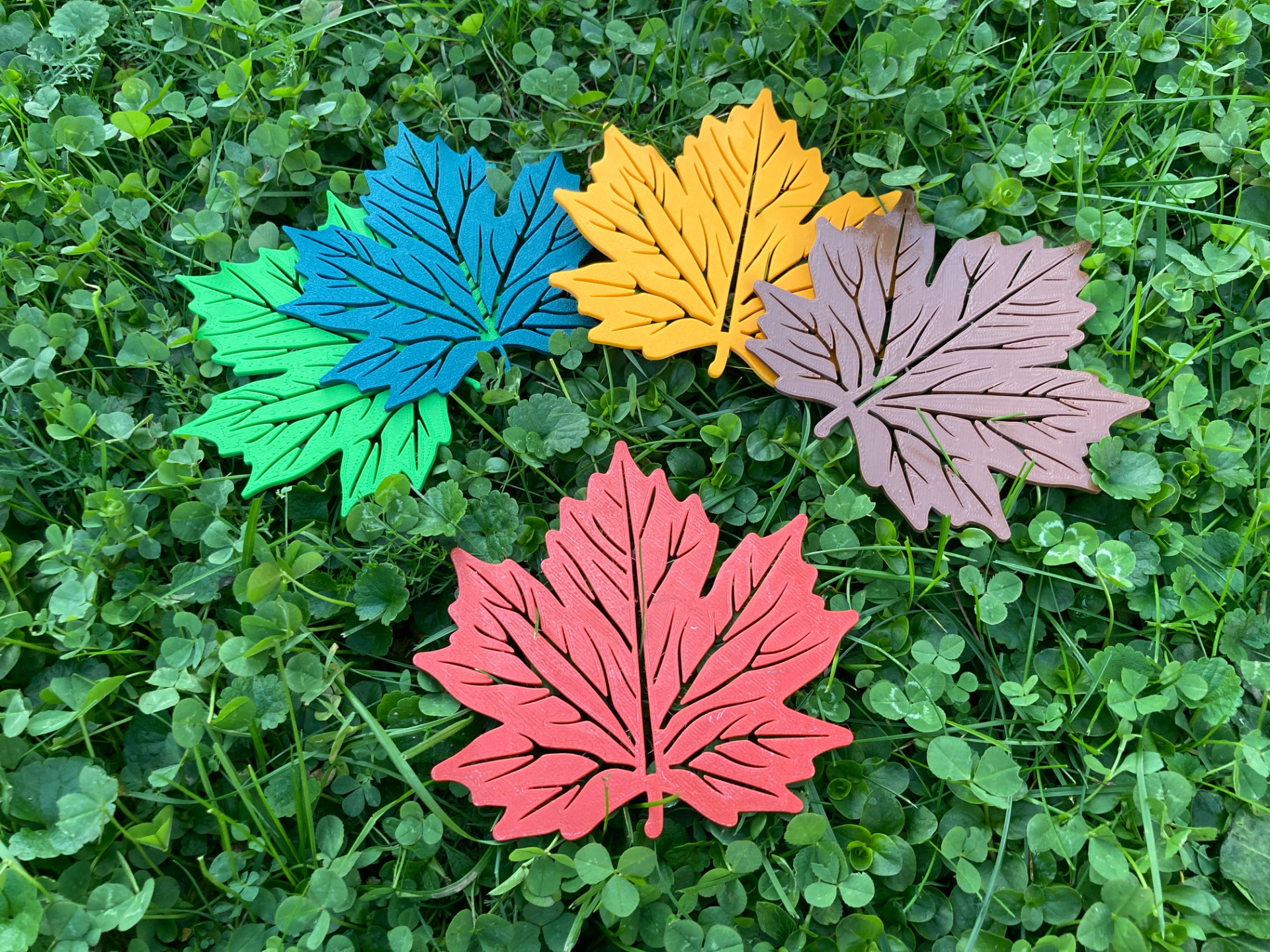 Maple leaf - coaster - wallart