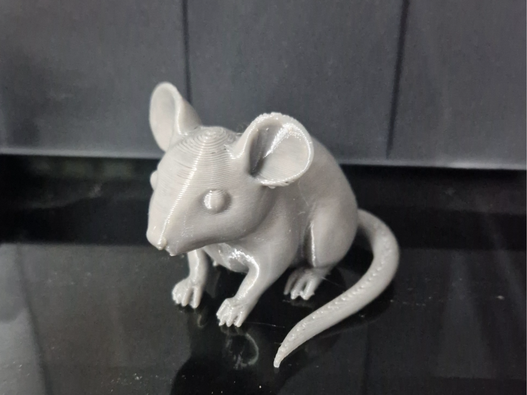 topo sculture 3d