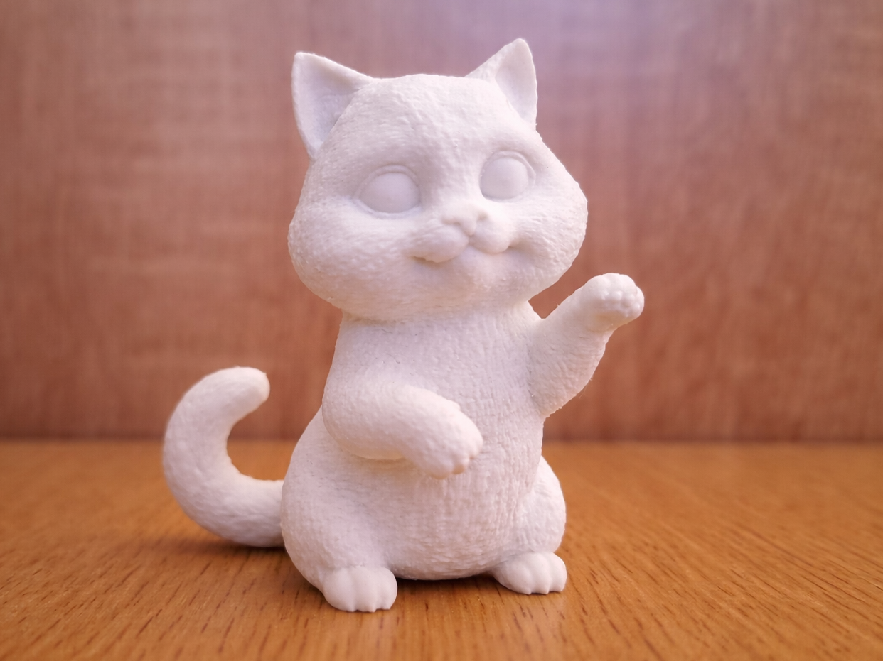 Cute Kitty