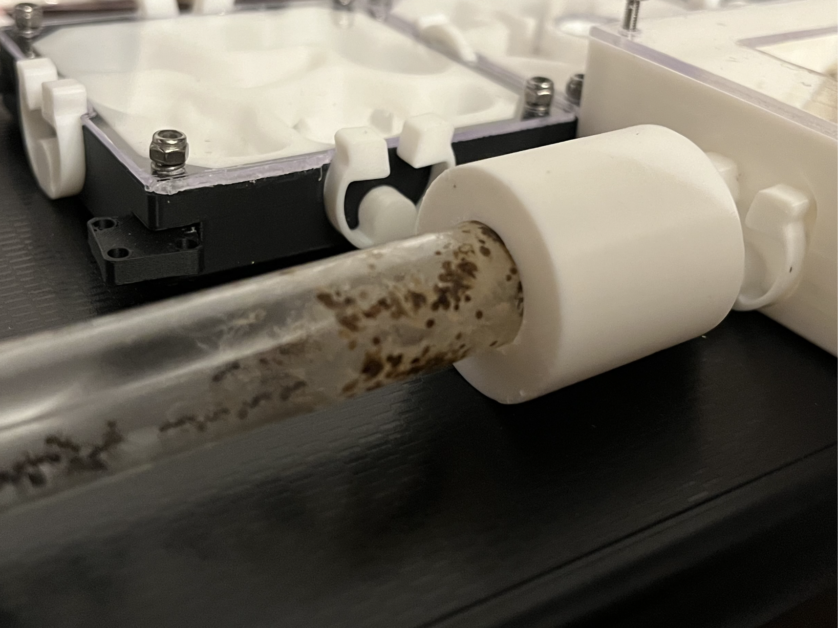 test tube adaptor for codehustler modular ant farm