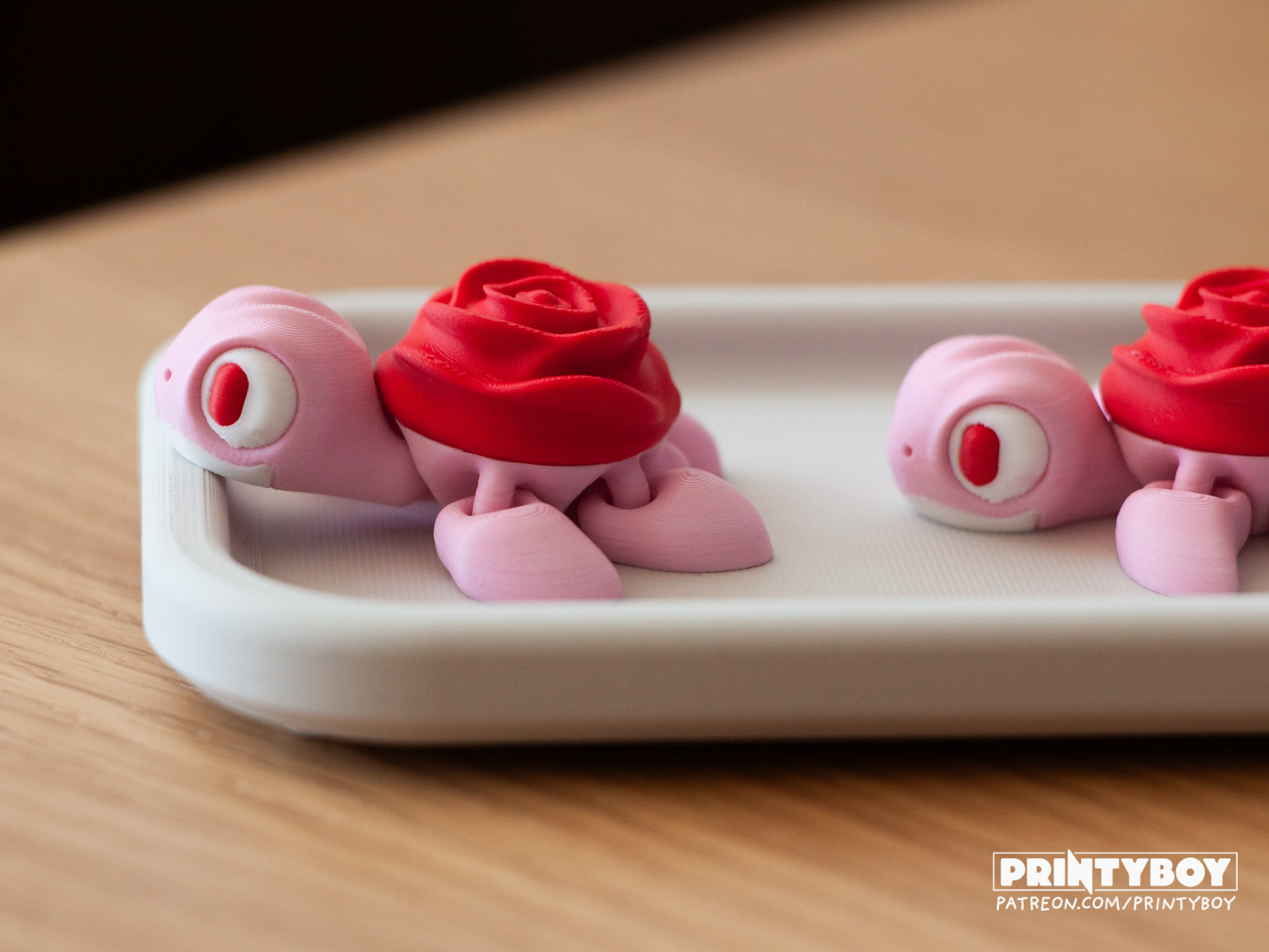 Printyboy - Rose Baby Sea Turtle