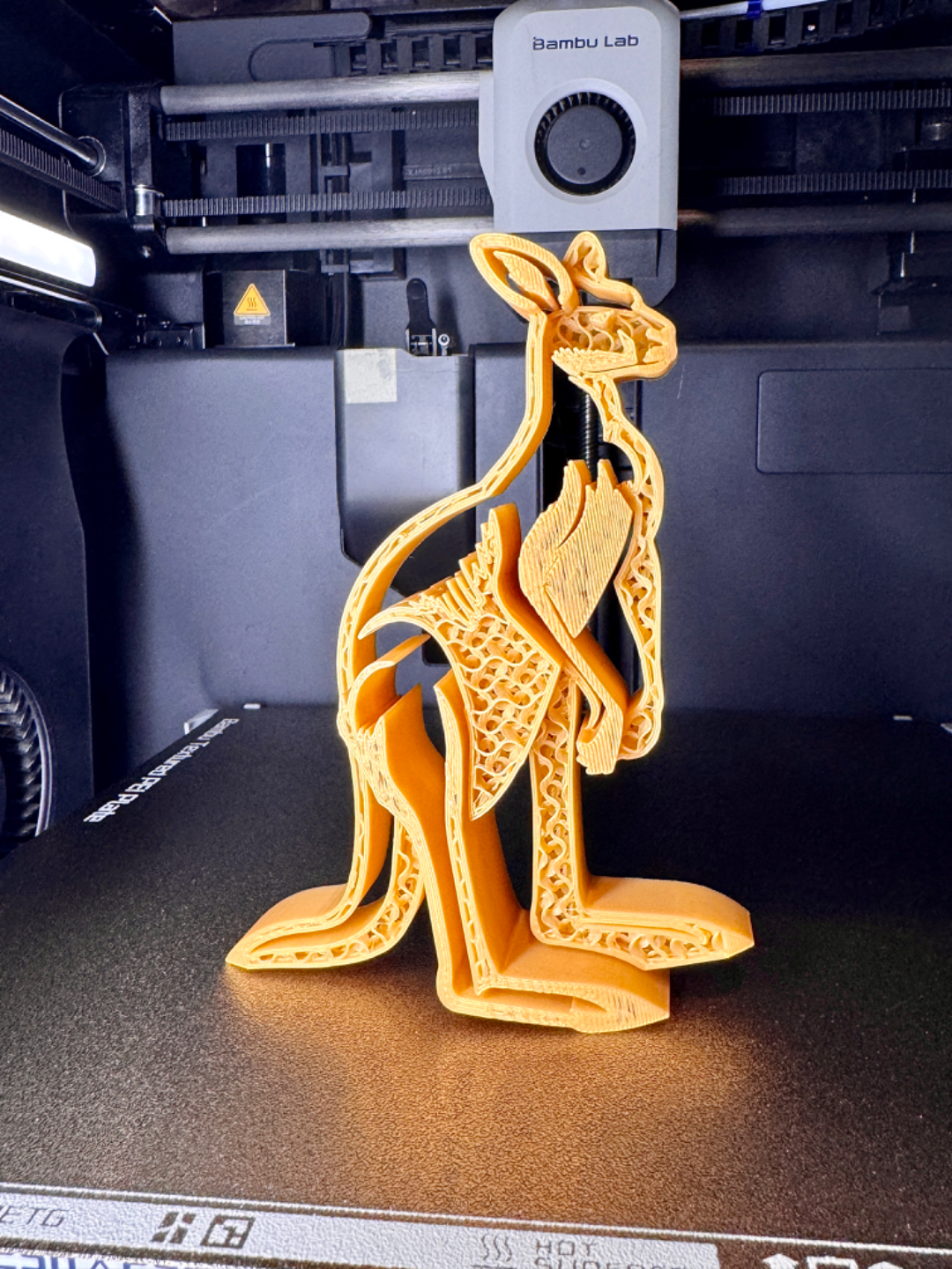 Kangaroo