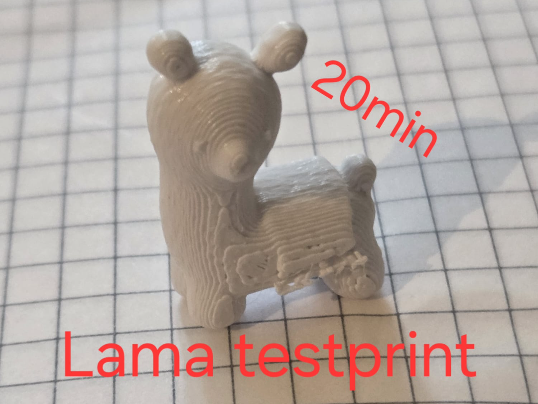 Testprint Lama