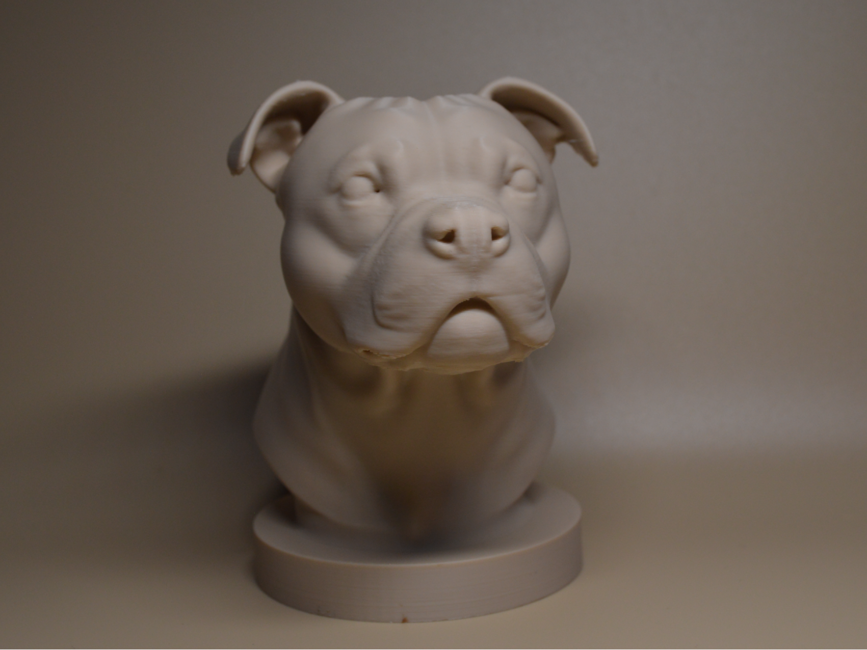 Staffordshire bull terrier  bust