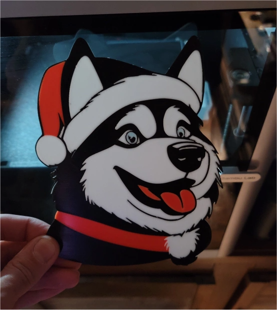 Husky malamute Christmas