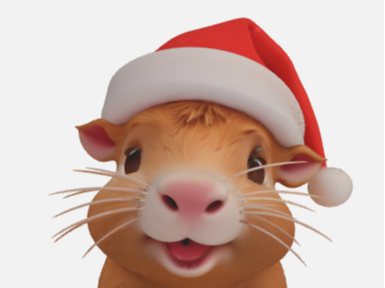 Christmas Capybara
