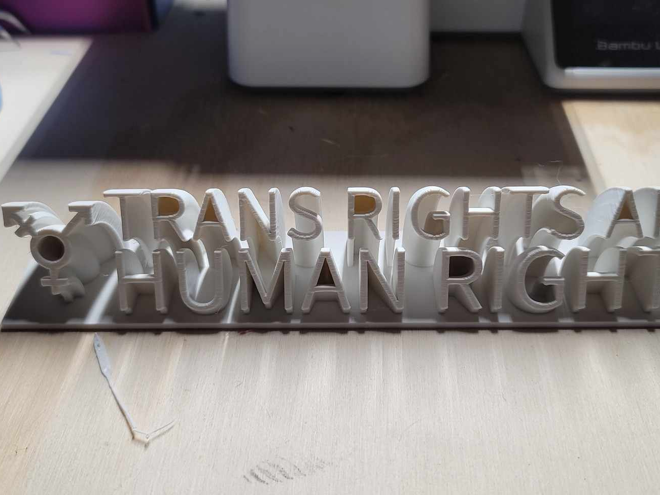 Trans Rights are Human Rights