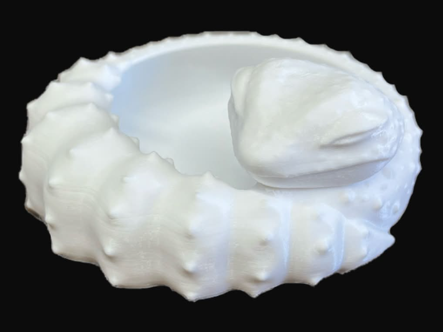 Sleeping leopard gecko feeding dish