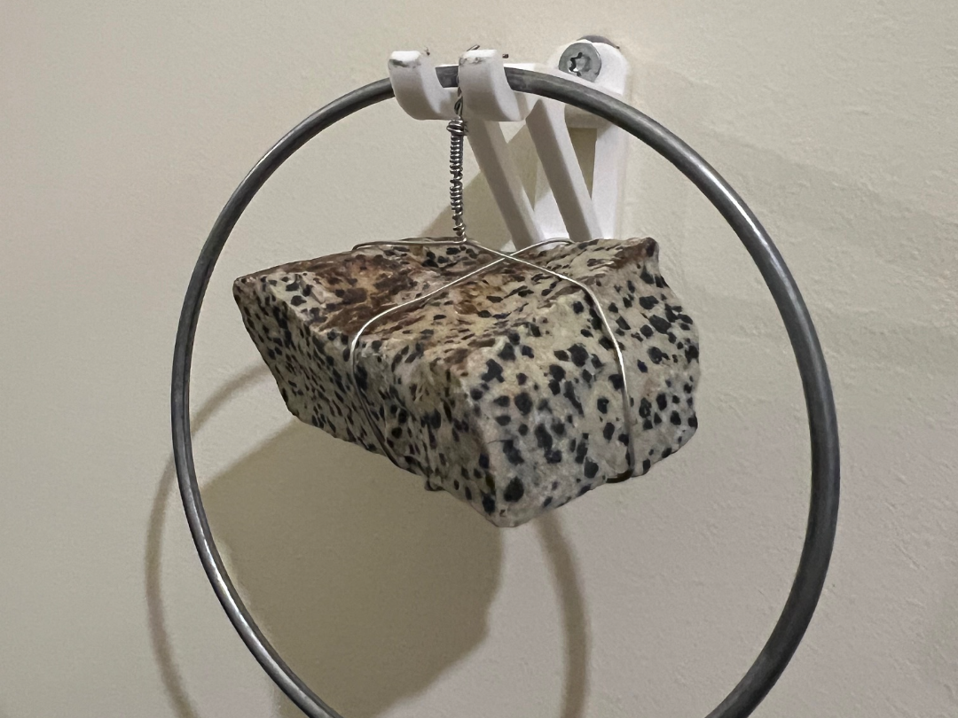Wall Hook with Dual Prongs
