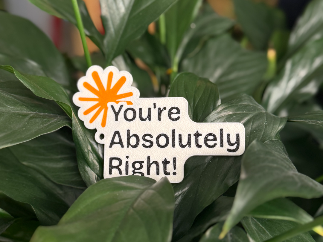 Claude "You're Absolutely Right!" Keychain