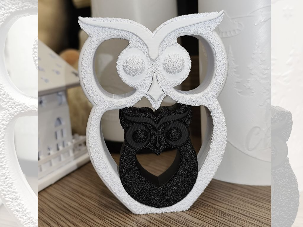 Owl Mother Son