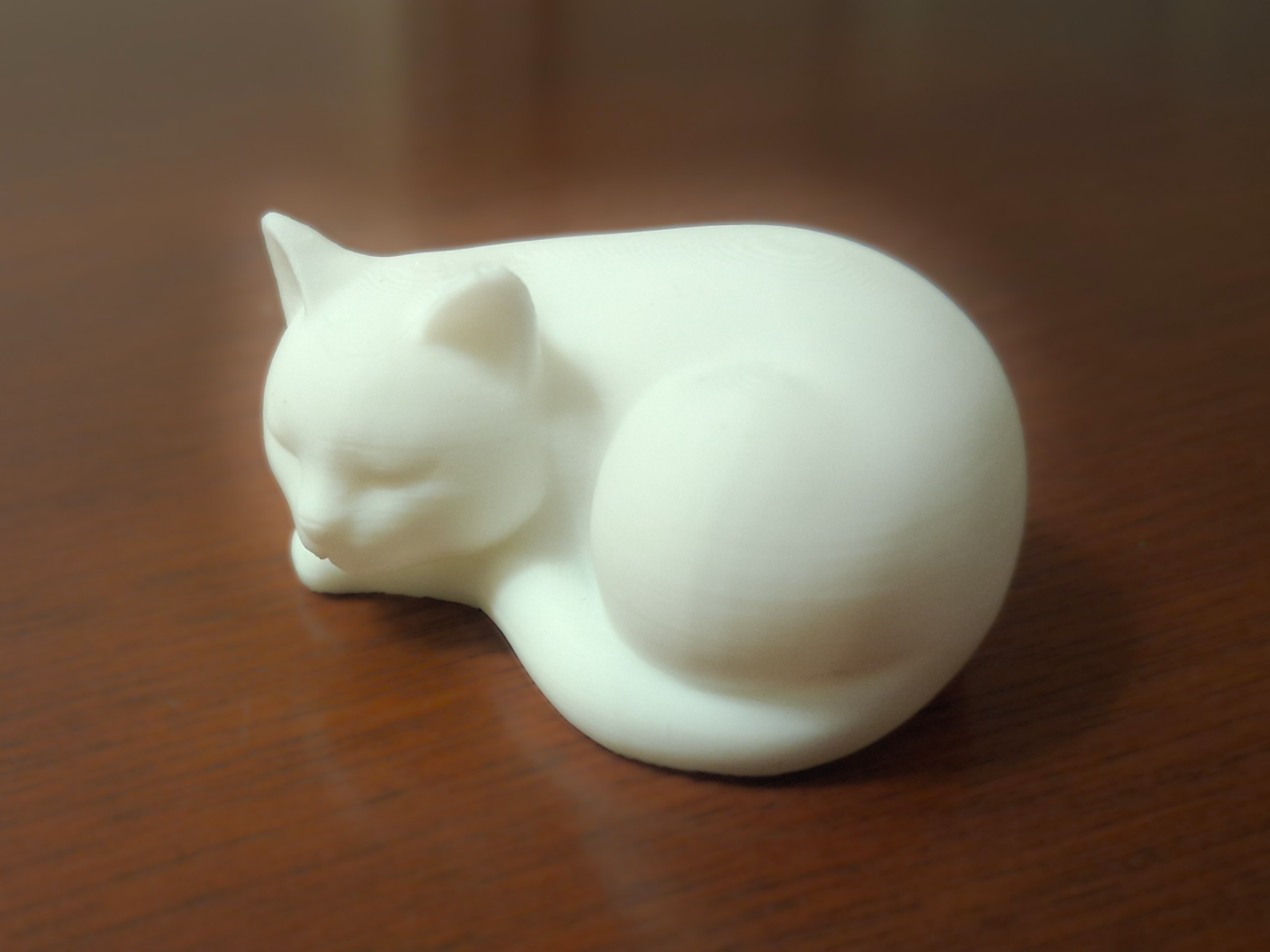 Sleeping Cat